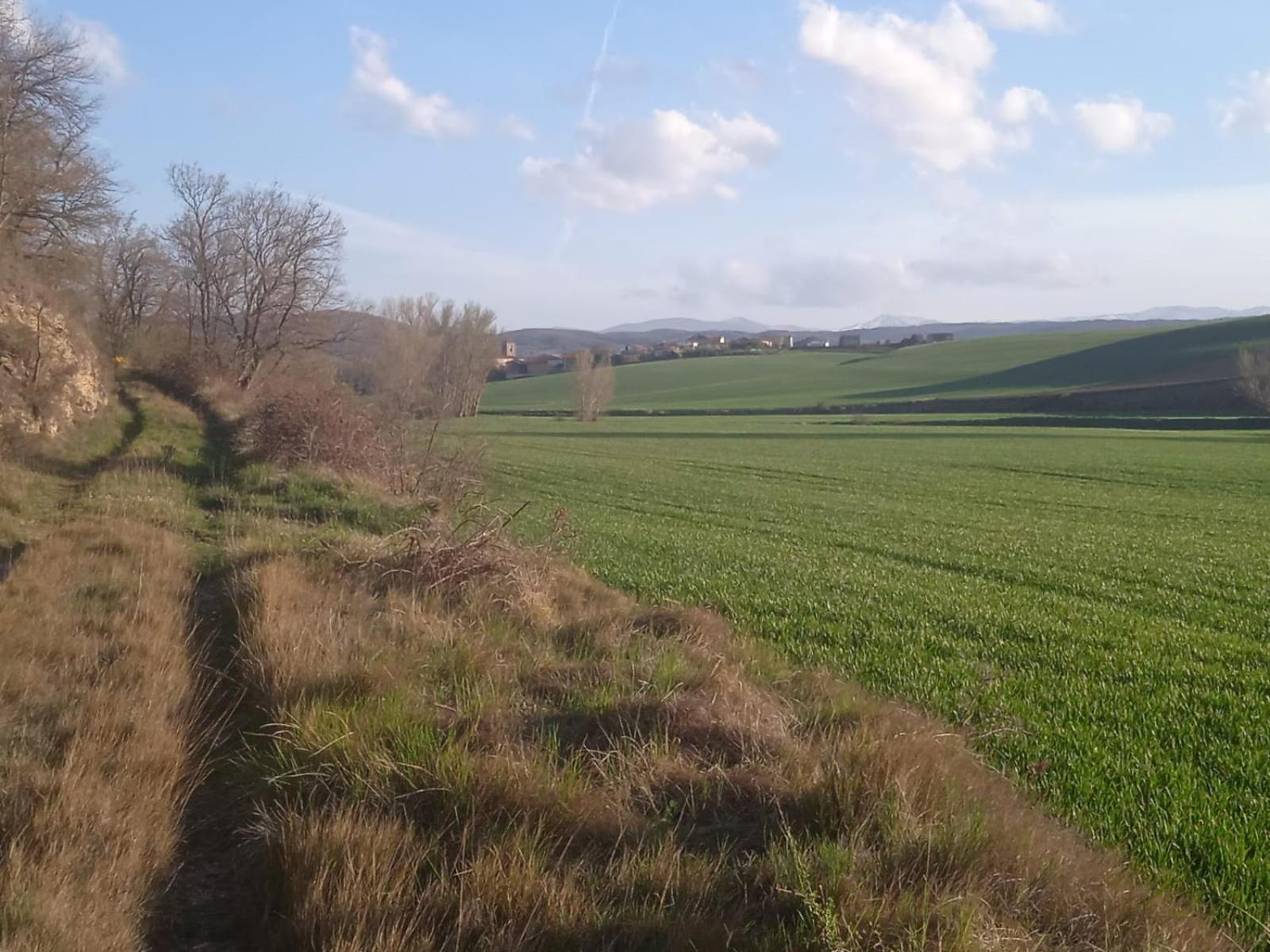 فيلا El Rincon 53 Quintanilla del Monte de Rioja المظهر الخارجي الصورة